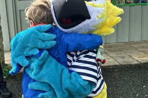 Percy the Pirate Parrot